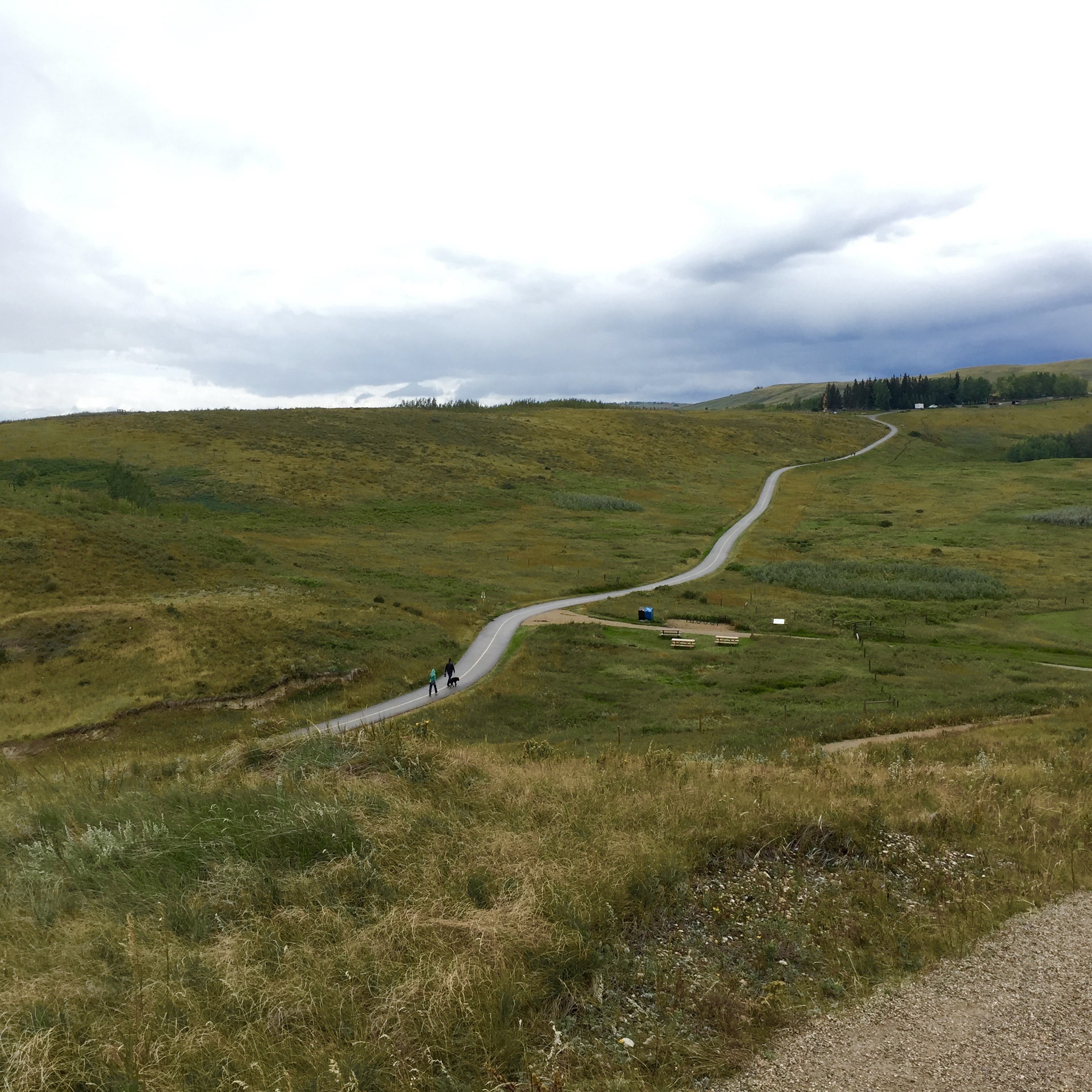 5 Hikes Near Calgary That Aren’t in the Rockies