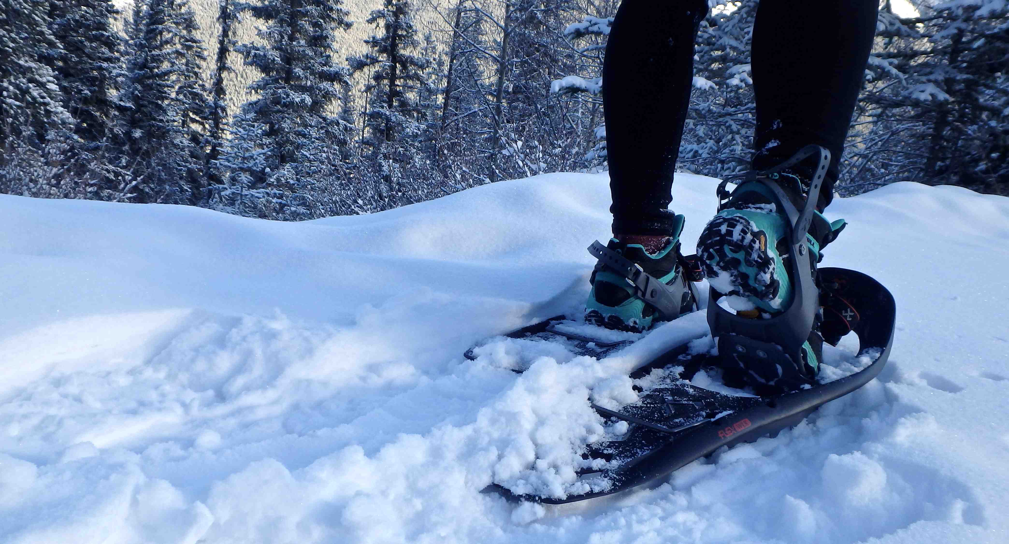 Where to Do Almost Every Winter Sport In and Around Calgary, Ab Vern
