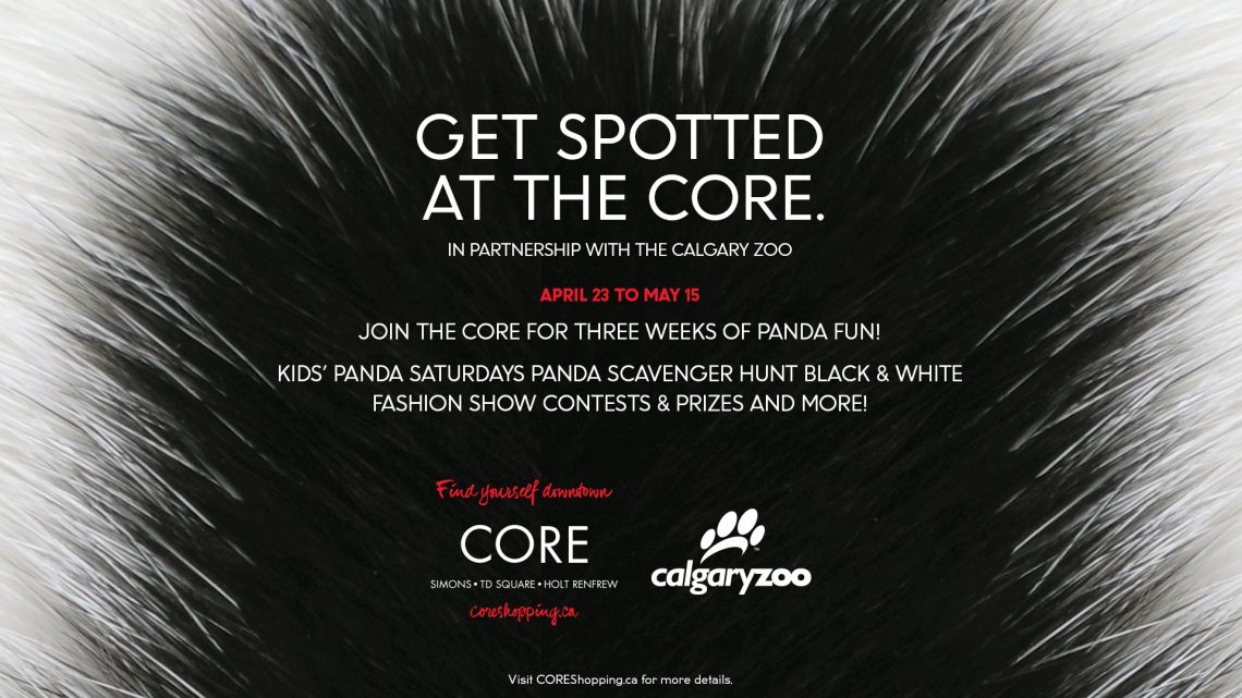 Get Spotted at The CORE Shopping Centre