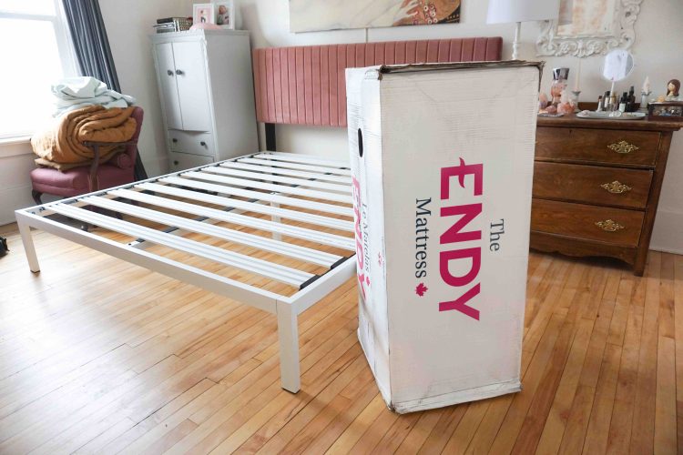 The Winner Endy vs. Casper vs. Douglas