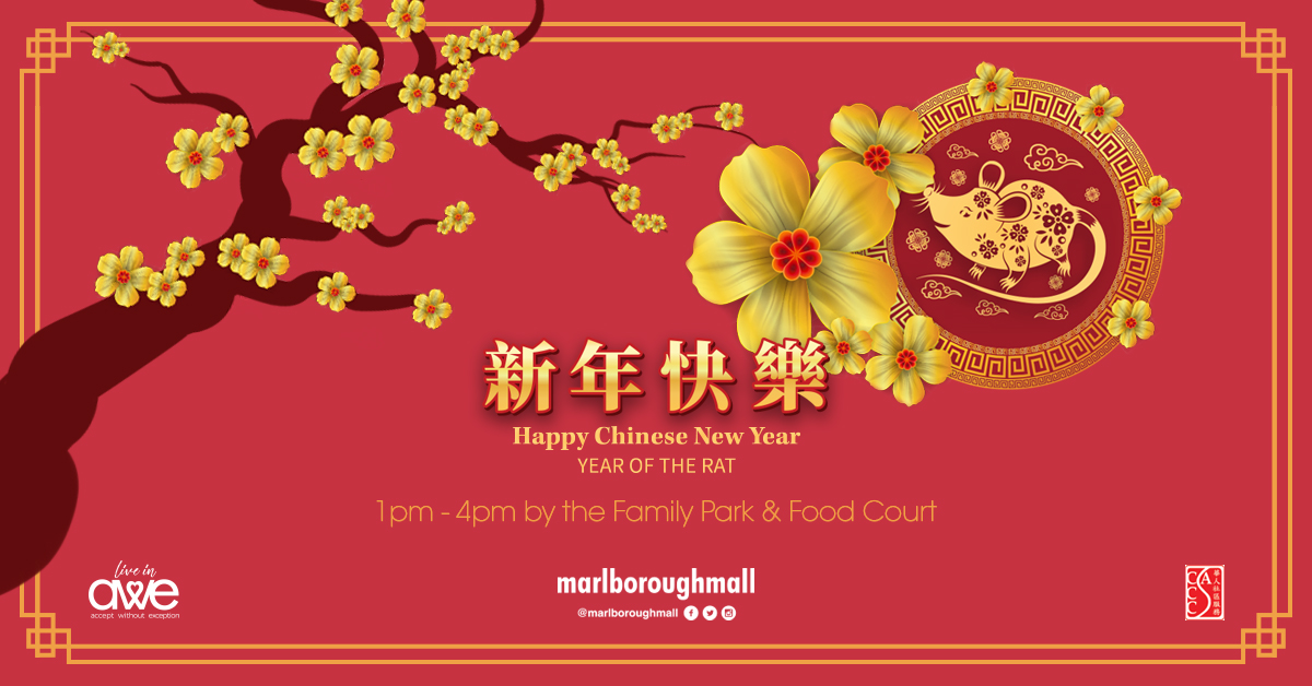 Marlborough Mall: Chinese New Year 2020